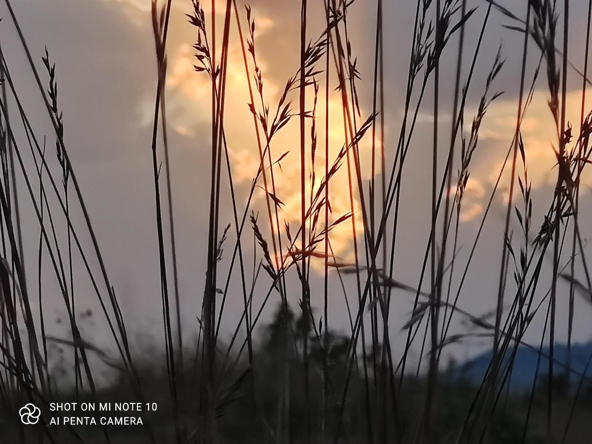 Le Gite D'Olympe Cordes-sur-Ciel Exterior foto